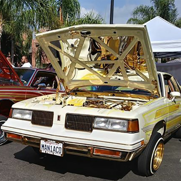 1981-87 OLDS CUTLASS HOOD